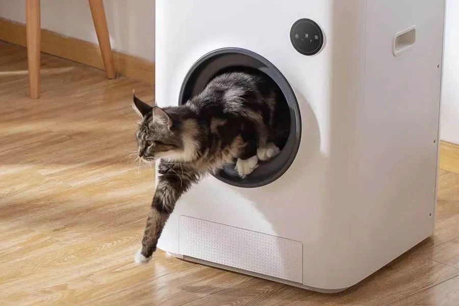 self cleaning cat litter box