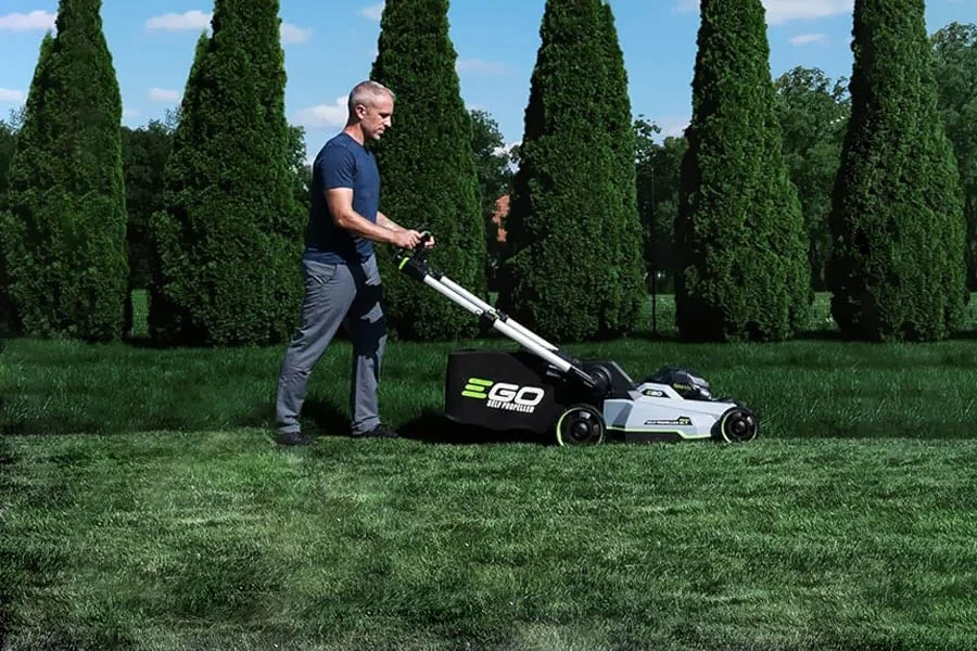 best cordless lawn